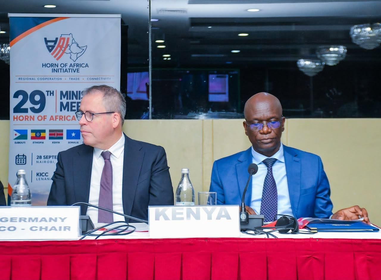 The 29th Horn of Africa Initiative Ministerial Meeting 