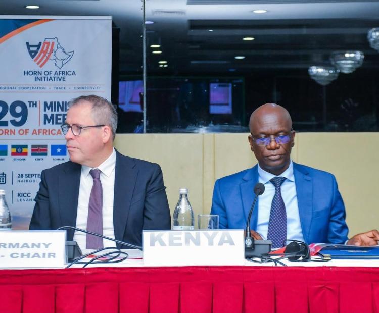 The 29th Horn of Africa Initiative Ministerial Meeting 